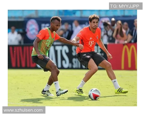 纽约城与多伦多的文化碰撞与生活方式对比探讨