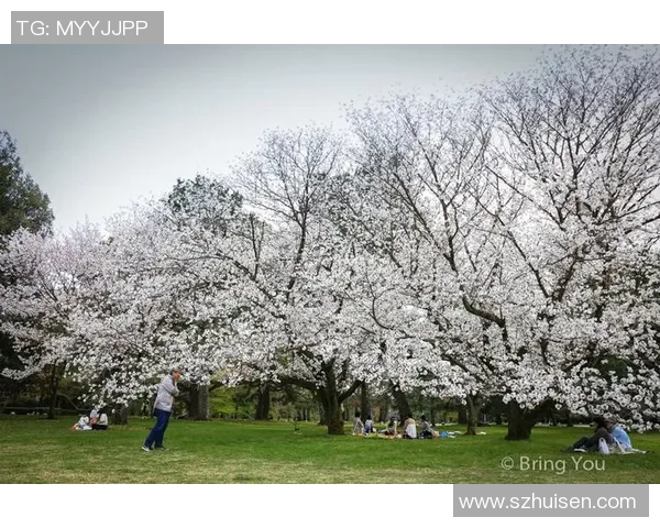 大阪樱花与冬季FC的激烈对决期待精彩瞬间与精彩进球的碰撞 大阪樱花与冬季FC的激烈对决期待精彩瞬间与精彩进球的碰撞
