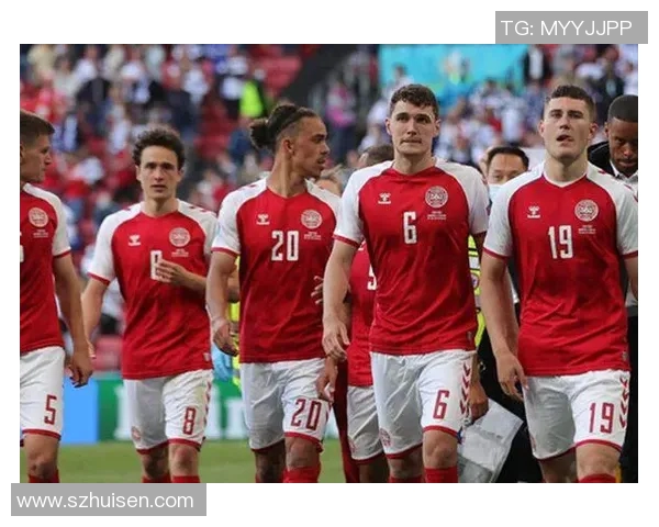 威尔士与丹麦对决前瞻分析及比赛结果预测