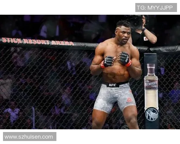 提华纳与桑托斯的激烈对决揭示了球队实力与战术的较量