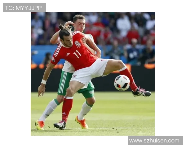 威尔士与爱尔兰精彩对决直播信息及赛前分析一览