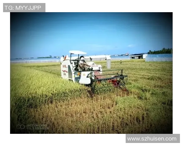 弗格的传奇人生与时代变迁的交织探索