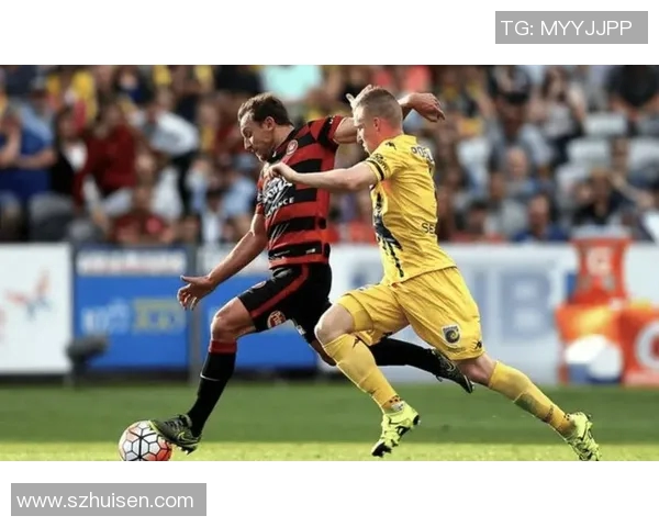 悉尼与惠灵顿凤凰对决前瞻及比分预测分析，谁将赢得胜利