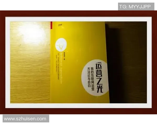 广州羽毛球队的运营策略与市场推广深度分析MBA