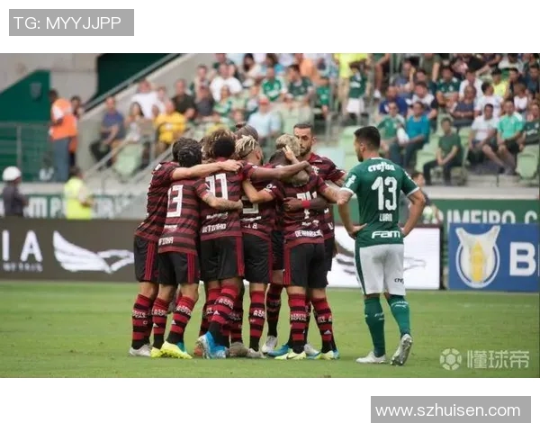 弗拉门戈与沙佩科激战正酣谁能在这场对决中笑到最后 弗拉门戈与沙佩科激战正酣谁能在这场对决中笑到最后