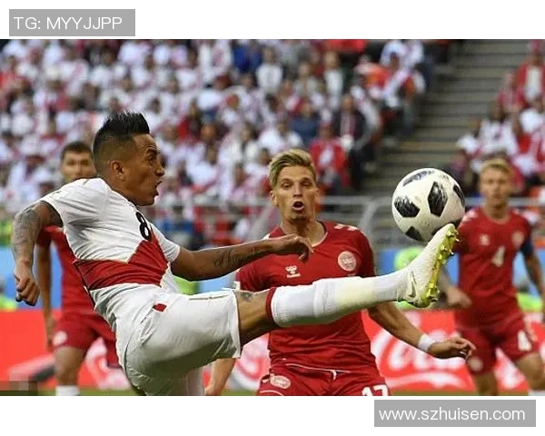 秘鲁与丹麦世界杯对决回顾精彩瞬间与战术分析