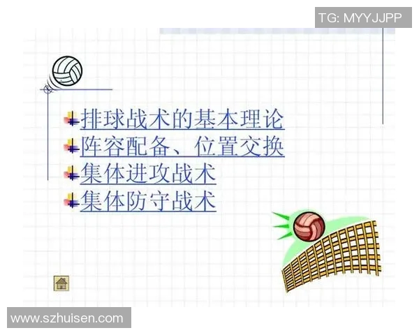 南京排球队的战术解析与控制策略深度剖析